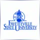 Fayetteville State University - Finance School Ranking