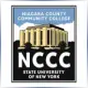 Niagara County Community College - Finance School Ranking