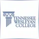Tennessee Wesleyan College - Finance School Ranking