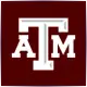 Texas A & M University College Station - Finance School Ranking