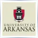 University of Arkansas - Finance School Ranking