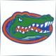 University of Florida - Finance School Ranking