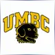 University of Maryland Baltimore County - Finance School Ranking