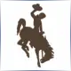 University of Wyoming - Finance School Ranking