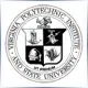 Virginia Polytechnic Institute and State University - Finance School Ranking